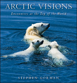 Arctic Visions by Stephen Gorman